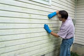 Best Custom Siding Design  in Hazen, ND